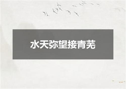 水天弥望接青芜
