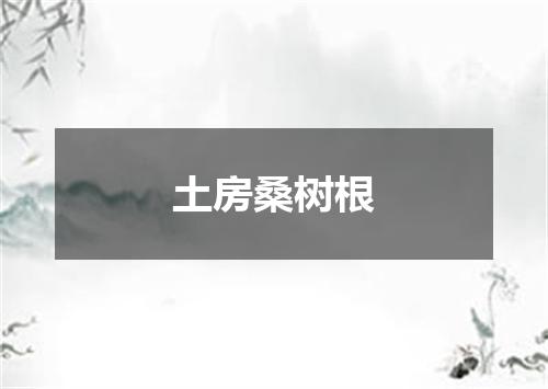 土房桑树根