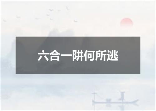 六合一阱何所逃