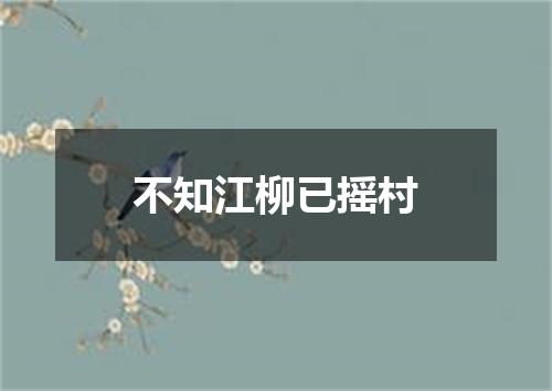 不知江柳已摇村