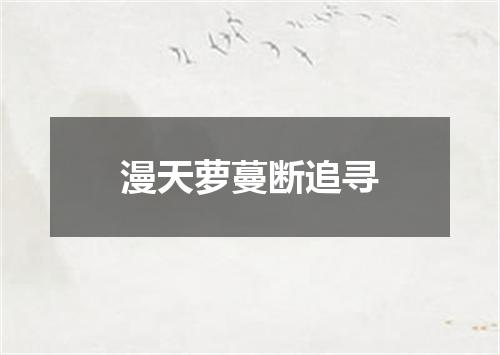 漫天萝蔓断追寻
