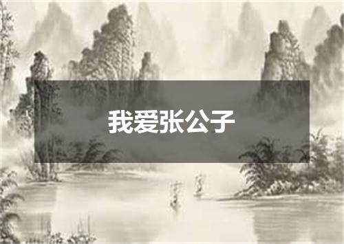 我爱张公子