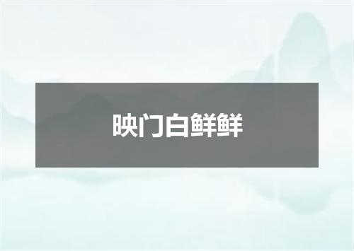 映门白鲜鲜