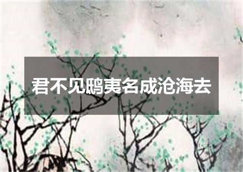 君不见鸱夷名成沧海去