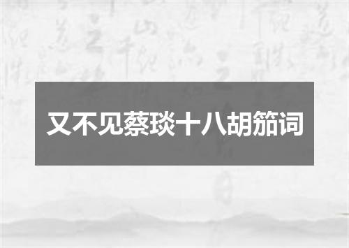 又不见蔡琰十八胡笳词