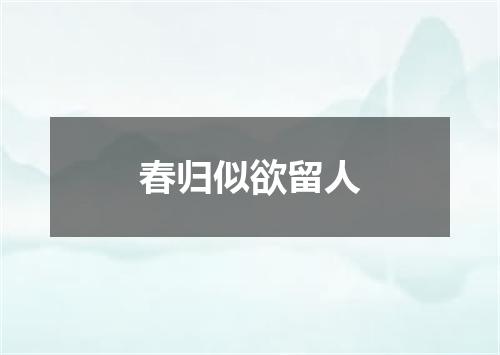 春归似欲留人