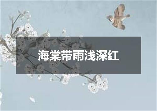 海棠带雨浅深红