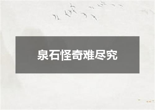 泉石怪奇难尽究