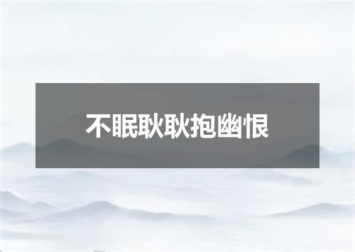 不眠耿耿抱幽恨
