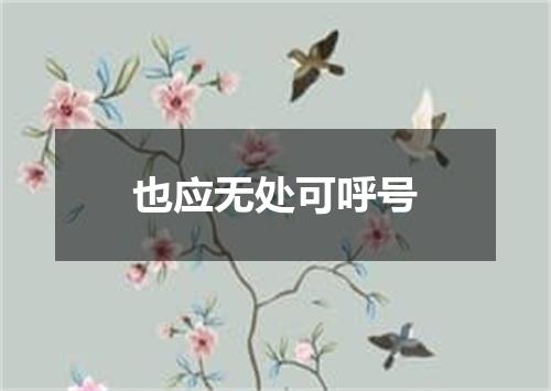 也应无处可呼号