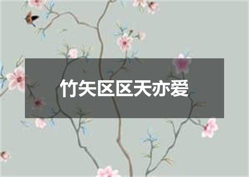 竹矢区区天亦爱