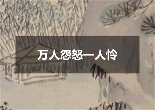 万人怨怒一人怜