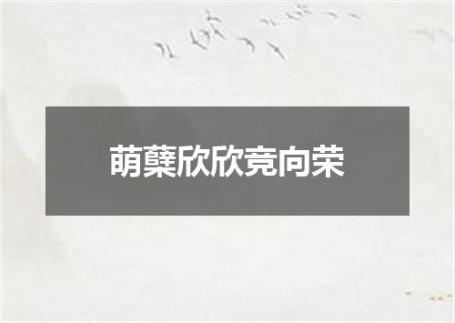 萌蘖欣欣竞向荣