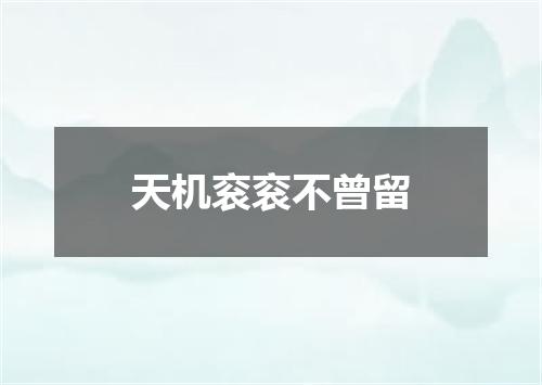 天机衮衮不曾留