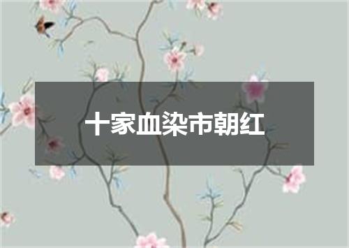 十家血染市朝红