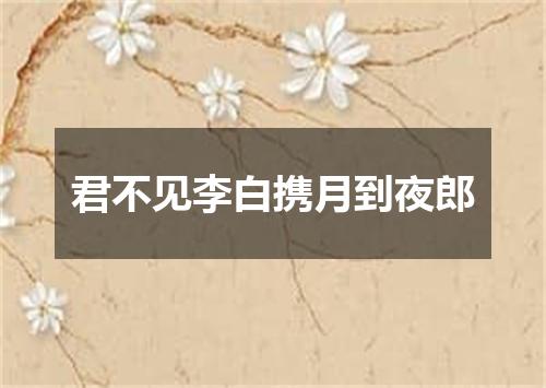 君不见李白携月到夜郎