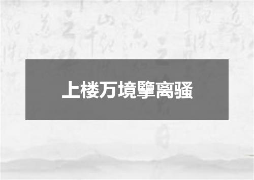 上楼万境擥离骚