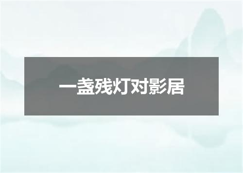 一盏残灯对影居
