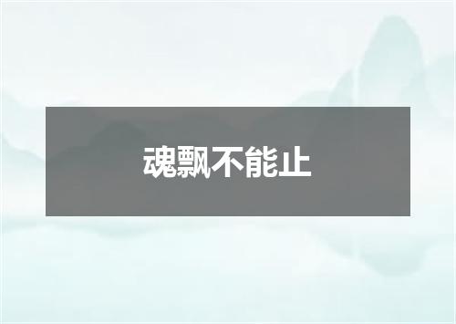 魂飘不能止
