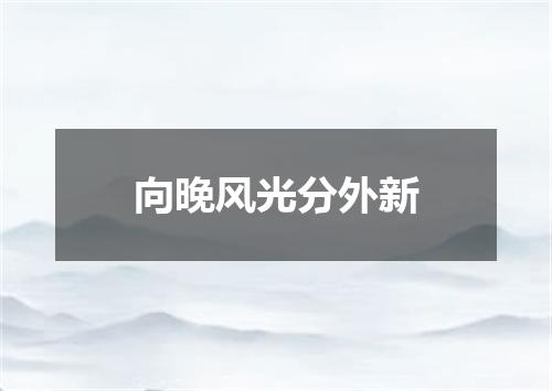 向晚风光分外新