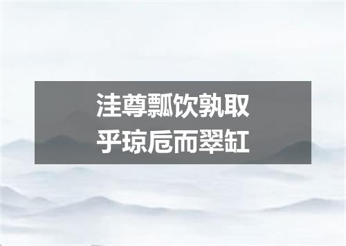 洼尊瓢饮孰取乎琼卮而翠缸