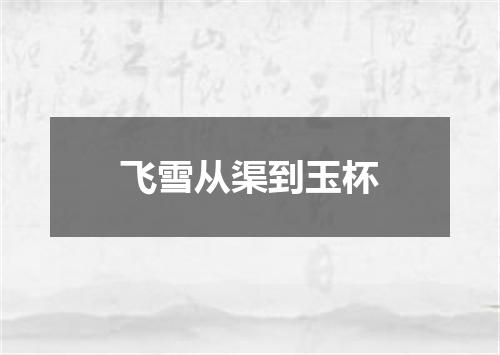 飞雪从渠到玉杯