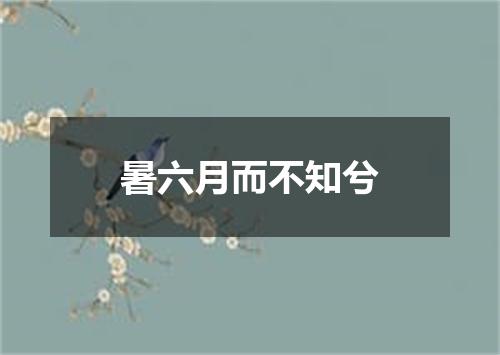 暑六月而不知兮