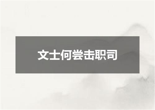 文士何尝击职司