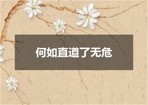 何如直道了无危