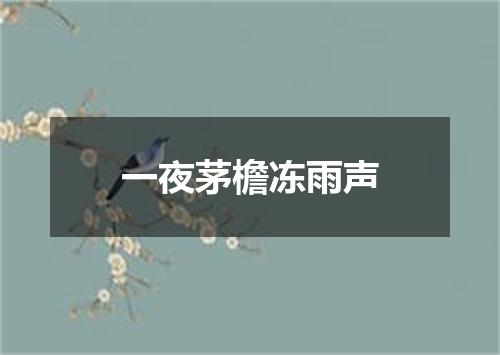 一夜茅檐冻雨声