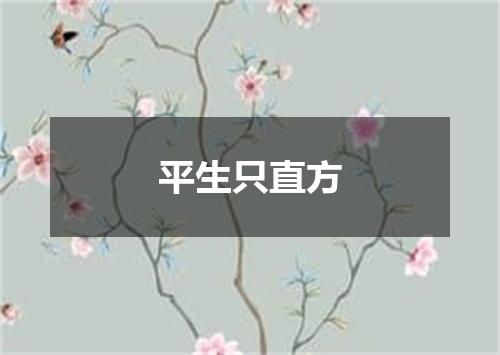 平生只直方