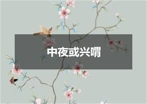 中夜或兴喟