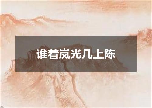 谁着岚光几上陈