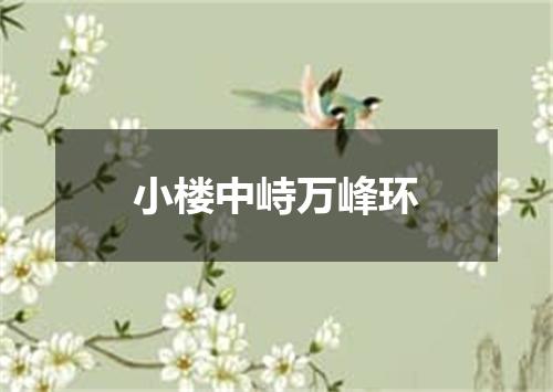 小楼中峙万峰环