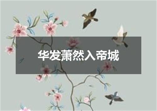 华发萧然入帝城