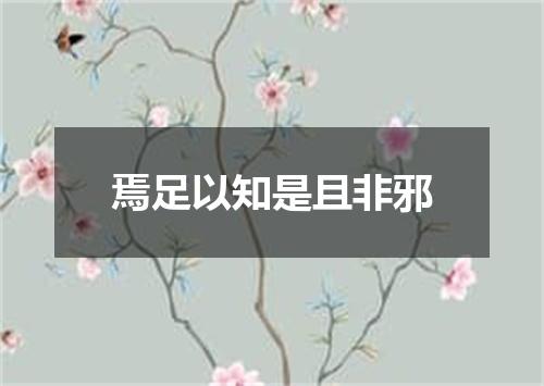 焉足以知是且非邪