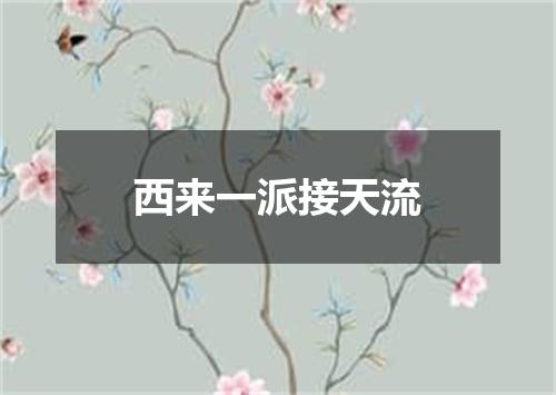 西来一派接天流