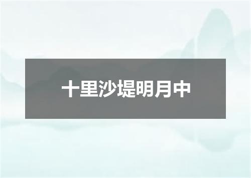 十里沙堤明月中