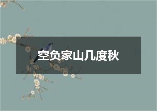 空负家山几度秋