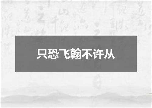 只恐飞翰不许从