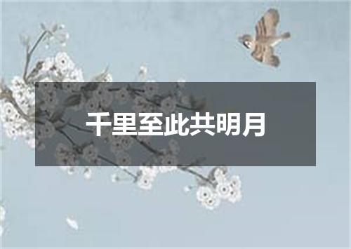 千里至此共明月