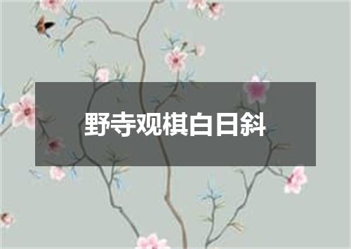 野寺观棋白日斜
