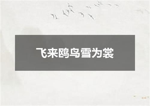 飞来鸥鸟雪为裳