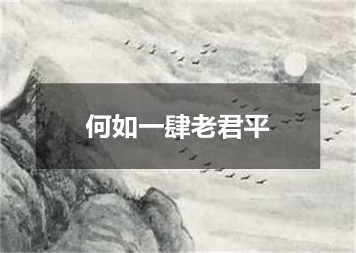 何如一肆老君平