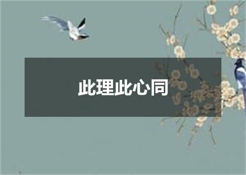 此理此心同