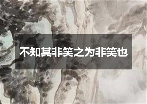 不知其非笑之为非笑也