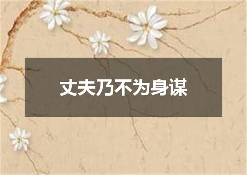 丈夫乃不为身谋