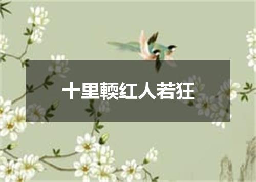 十里輭红人若狂