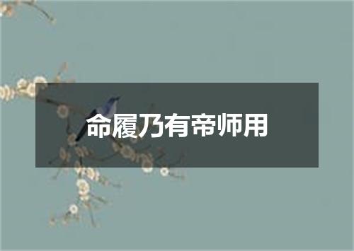 命履乃有帝师用