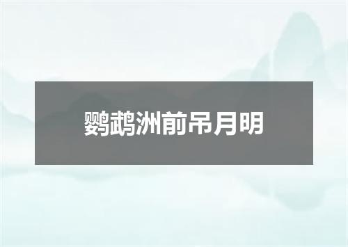 鹦鹉洲前吊月明